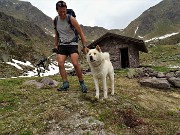 60 Incontro col bel cane Shira